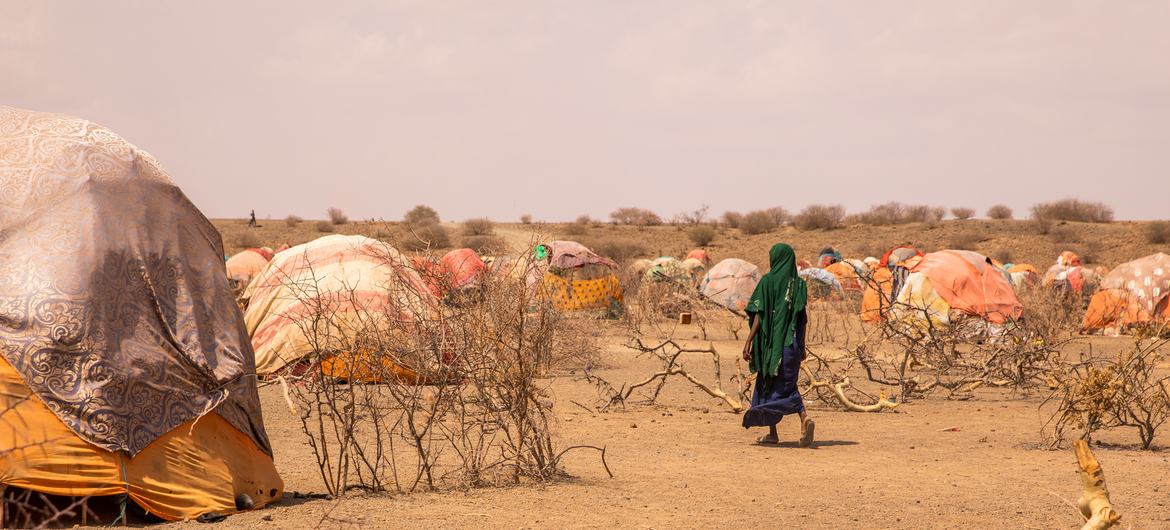 Familias desplazadas afectadas por la sequía, en la Región Somalí de Etiopía.