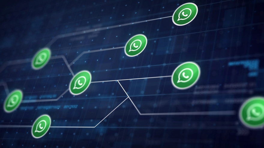 WhatsApp a menudo funciona como una red social.