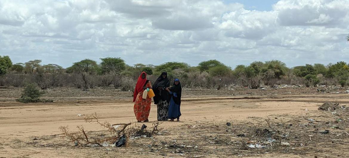 La devastadora sequía en Somalia ha alcanzado niveles sin precedentes, con un millón de personas registradas como desplazadas internas.