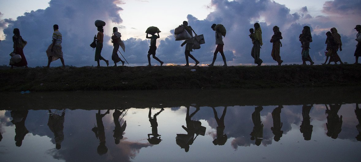 Refugiados rohingya cruzan la frontera de Myanmar a Bangladesh.