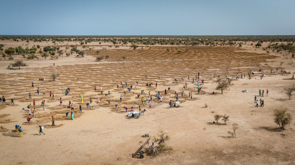 El cambio climático es el mayor desafío para los derechos humanos.  Comunidades agrícolas en Senegal restauran tierras degradadas para contrarrestar los efectos del cambio climático.