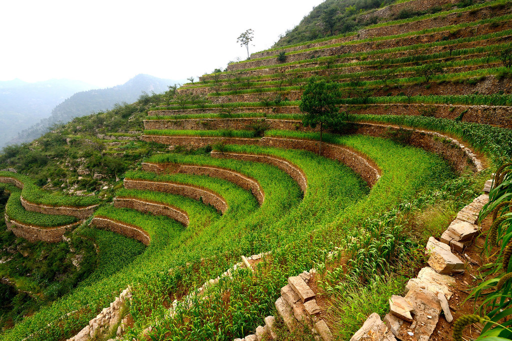 Las soluciones basadas en la naturaleza permiten una agricultura sostenible y respetuosa con el medio ambiente.  El sistema de terrazas de piedra de las tierras secas de Shexian es un sistema agrícola de secano que data del siglo XIII.