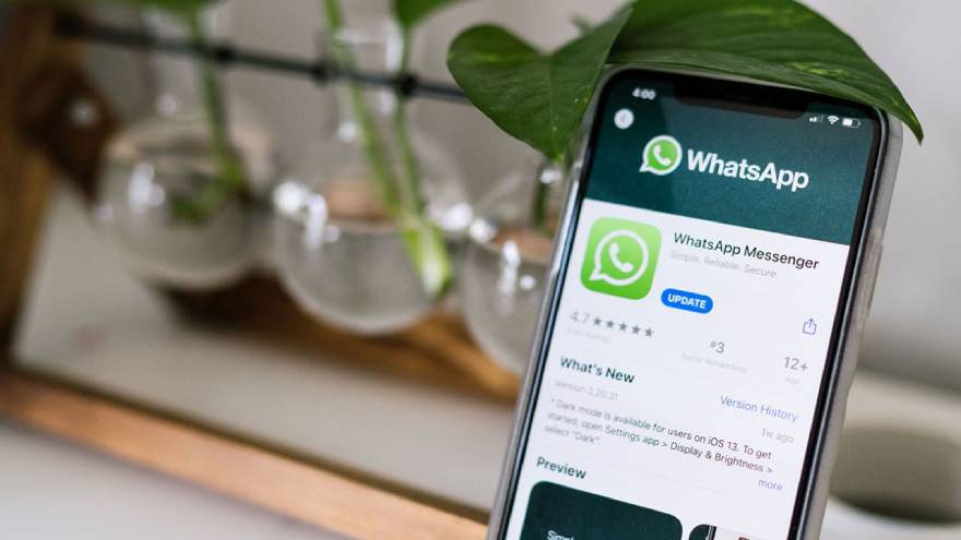 WhatsApp actúa como una red social para millones de personas.