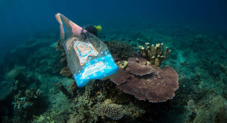 Los desechos plásticos marinos han afectado a más de 600 especies marinas.