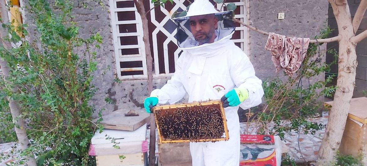 Ziad Sa'ad, un apicultor de Basora, Irak, está creando conciencia en su comunidad sobre la importancia de la seguridad en el trabajo.
