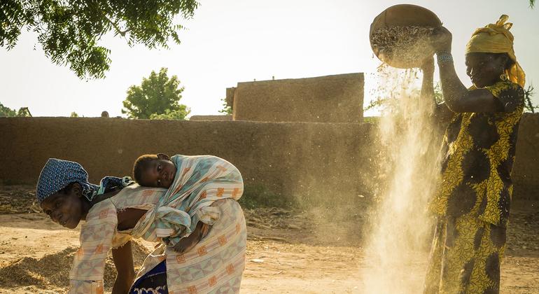 La seguridad alimentaria refuerza la seguridad climática en Malí. 