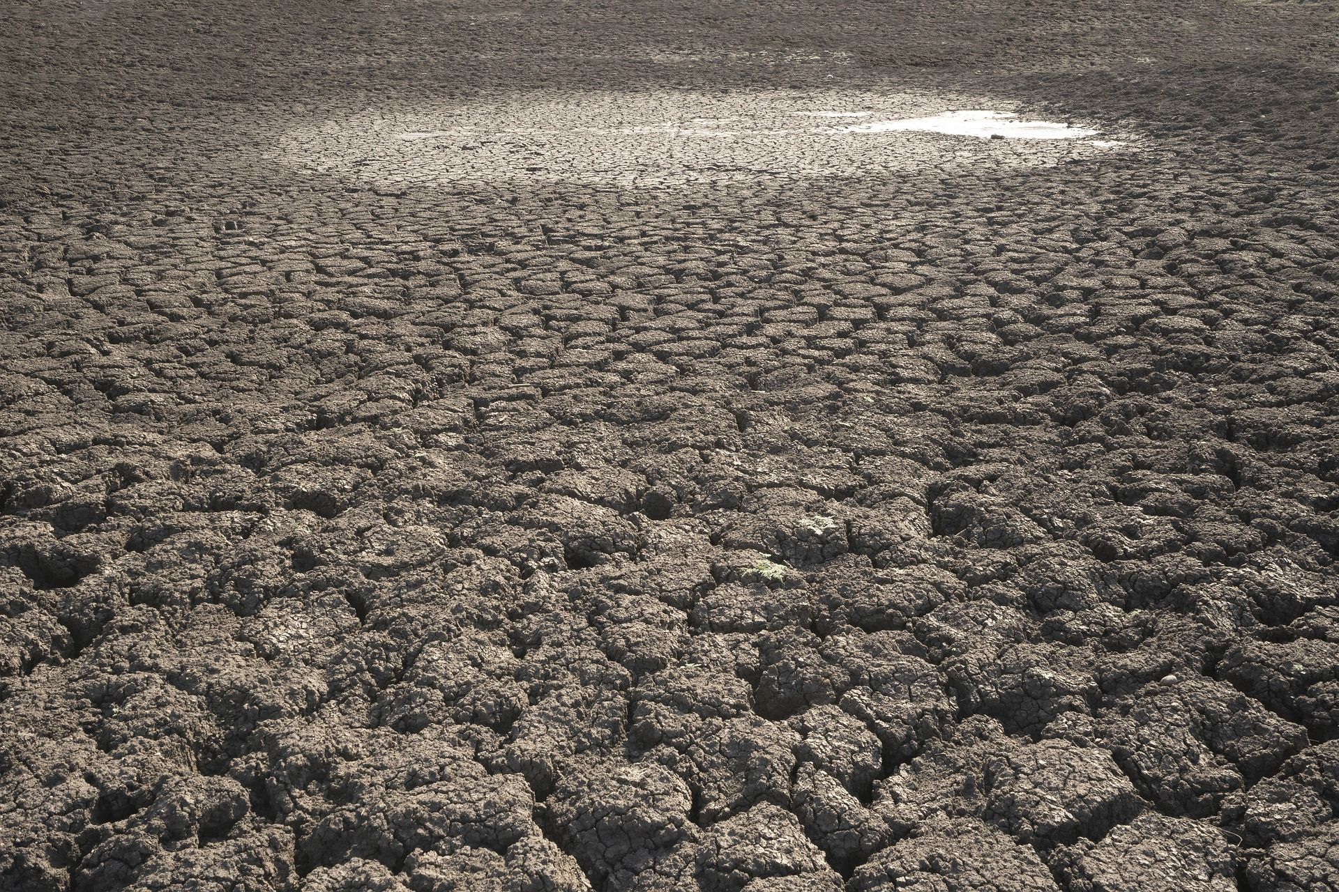 La sequía es una de las consecuencias del calentamiento global.